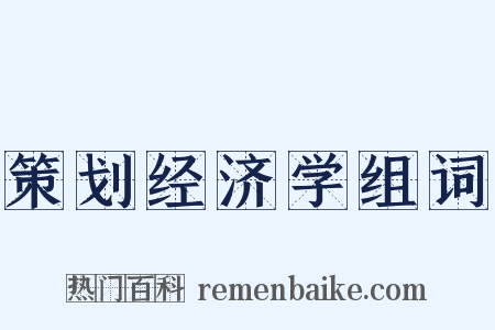 策划经济学组词是什么意思的图片